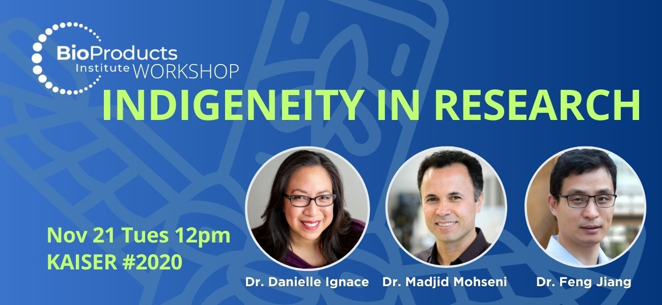 Indigeneity Workshop