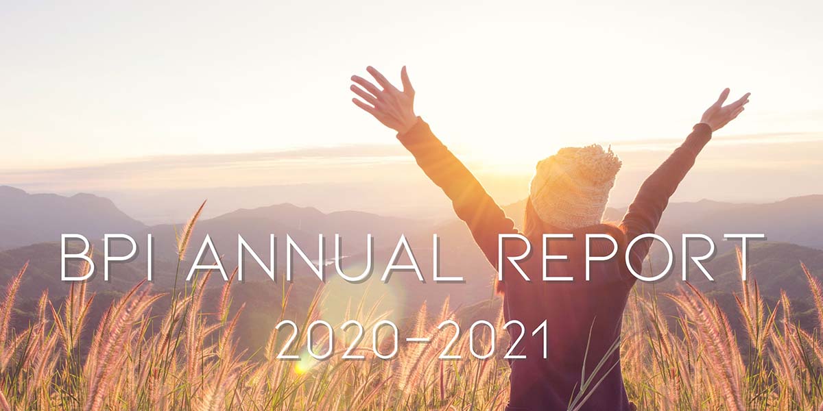 annual report 