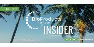 Palm trees on a beach BioProducts Insider
