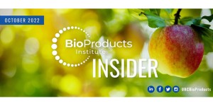 Apples on tree Insider October