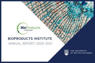 bpi_annual_report_2020-21