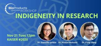 Indigeneity Workshop